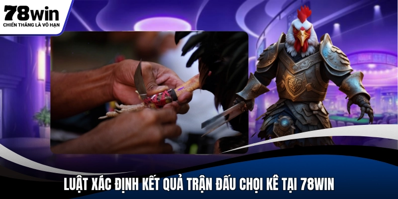 Luật xác định kết quả trận đấu chọi kê tại 78WIN